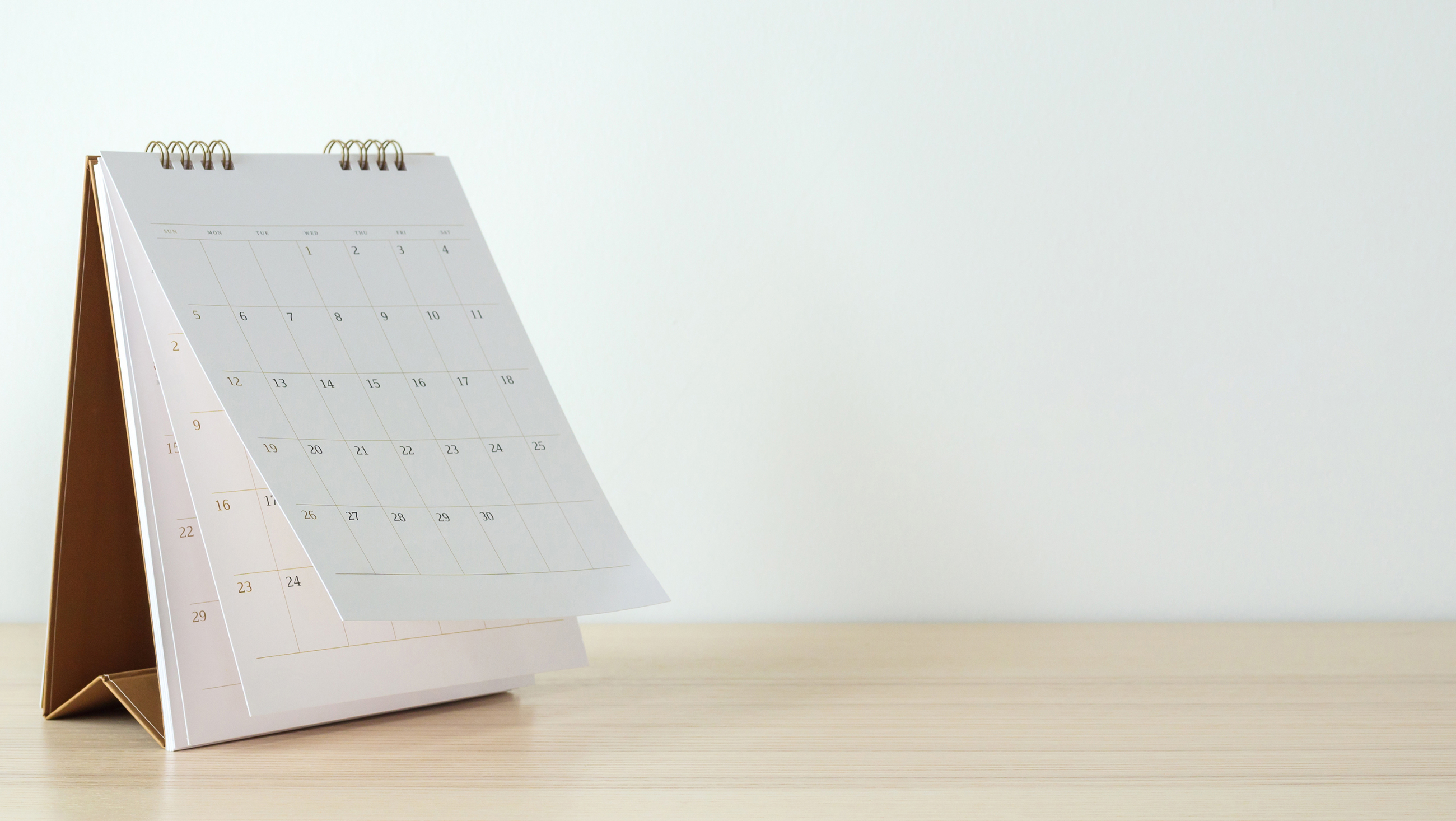 Contact & Appointments