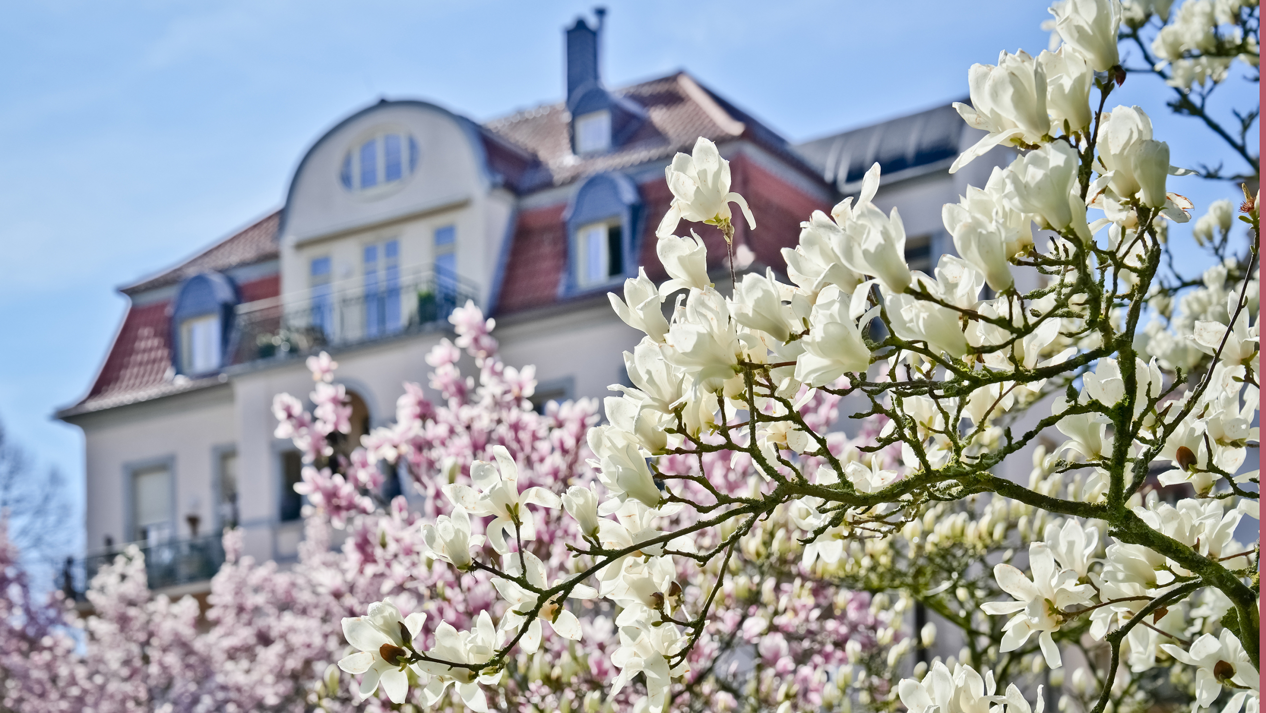 Practice for gynecology and obstetrics